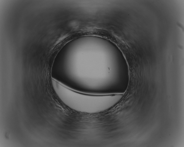 X0000093171206200709261049