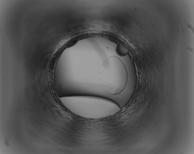 X0000093171208200709261049
