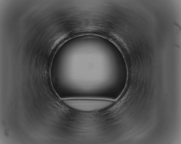 X0000093171210200709261049