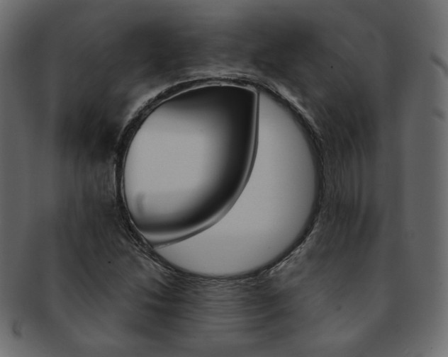 X0000093171214200709261049