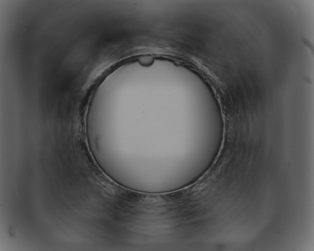 X0000093171215200709261049