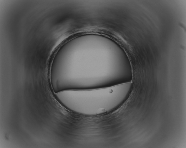 X0000093171216200709261049