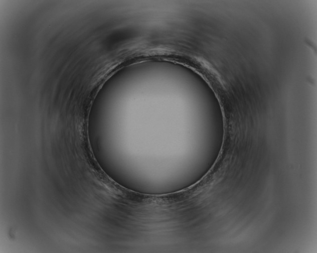 X0000093171217200709261049
