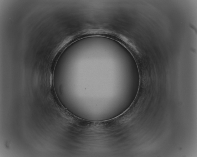 X0000093171221200709261049