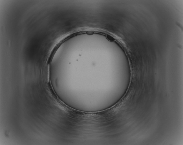 X0000093171223200709261049