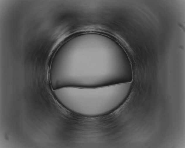 X0000093171224200709261049