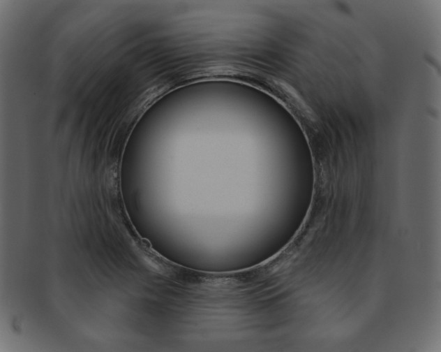 X0000093171225200709261049