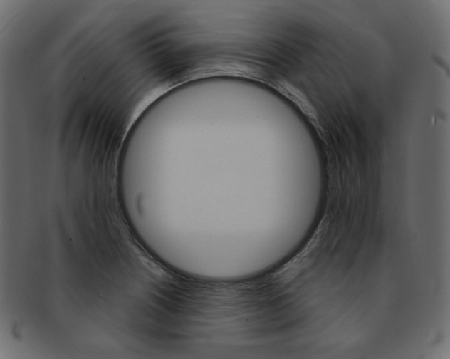 X0000093171226200709261049