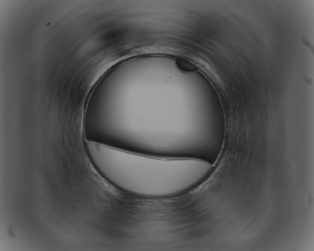 X0000093171228200709261049