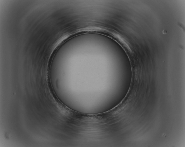 X0000093171229200709261049