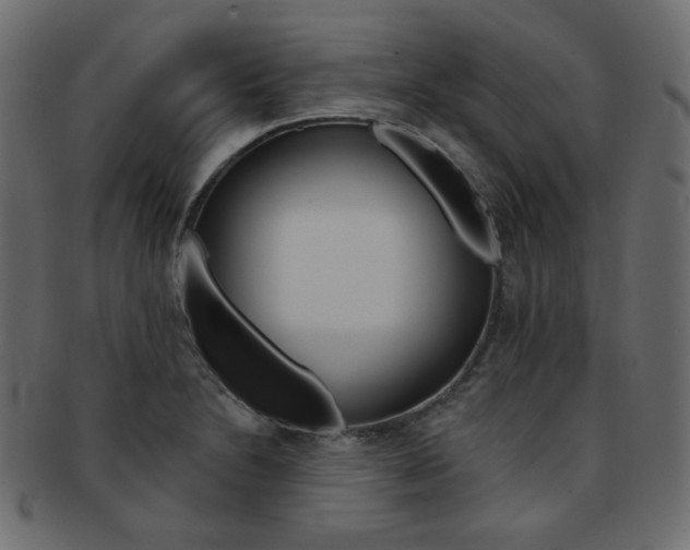 X0000093171230200709261049