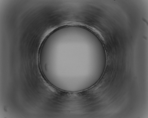 X0000093171231200709261049
