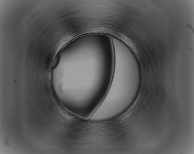 X0000093171234200709261049