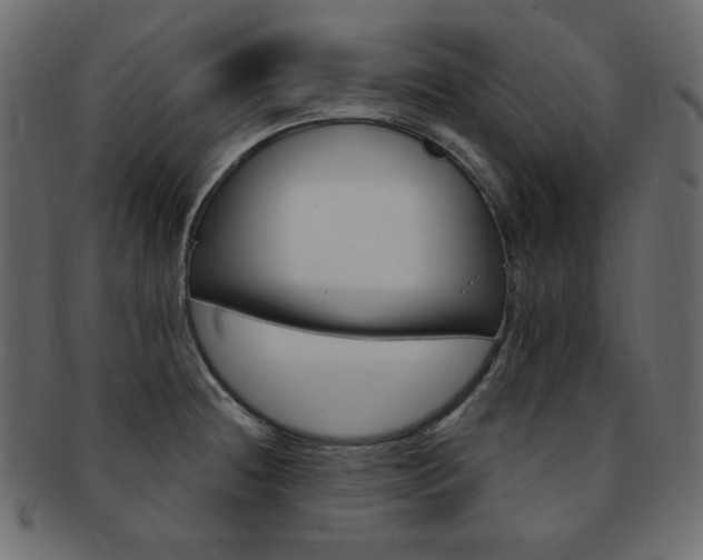 X0000093171236200709261049