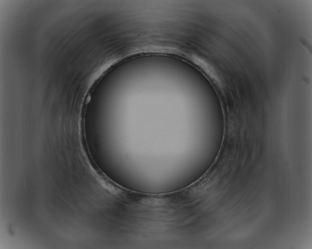 X0000093171237200709261049