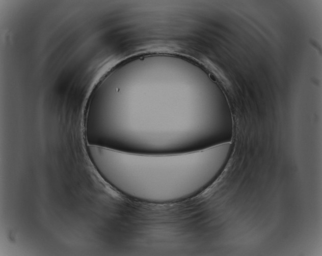 X0000093171240200709261049