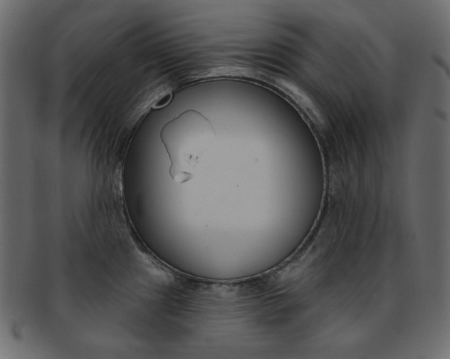 X0000093171241200709261049
