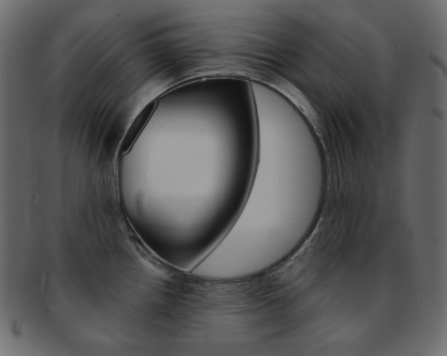 X0000093171242200709261049