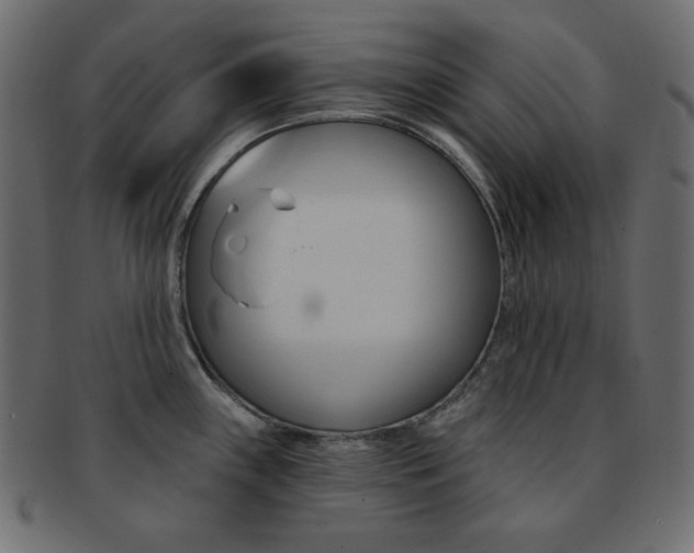 X0000093171243200709261049