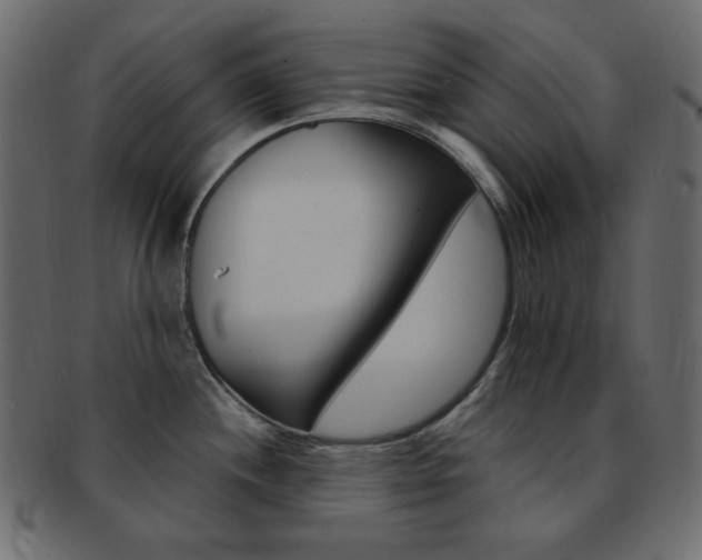 X0000093171244200709261049