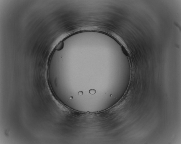 X0000093171245200709261049