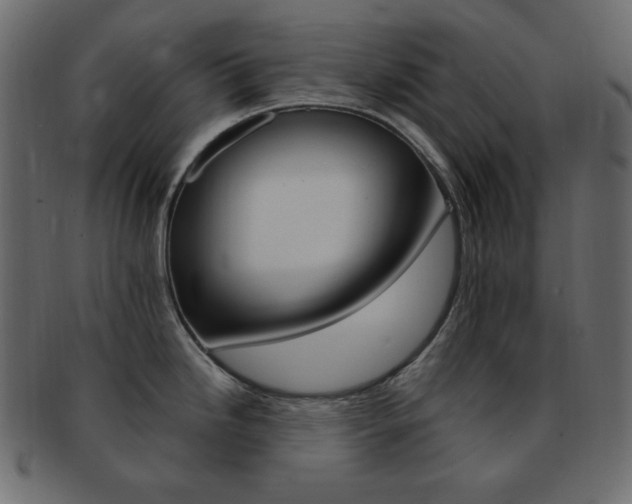 X0000093171246200709261049