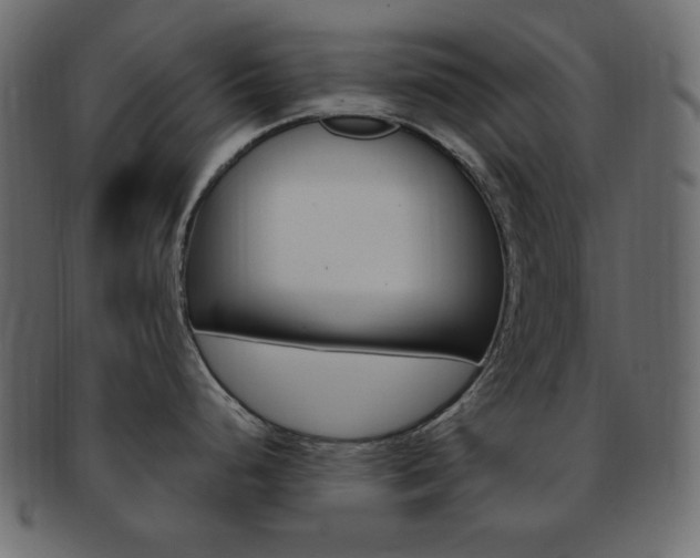 X0000093171248200709261049