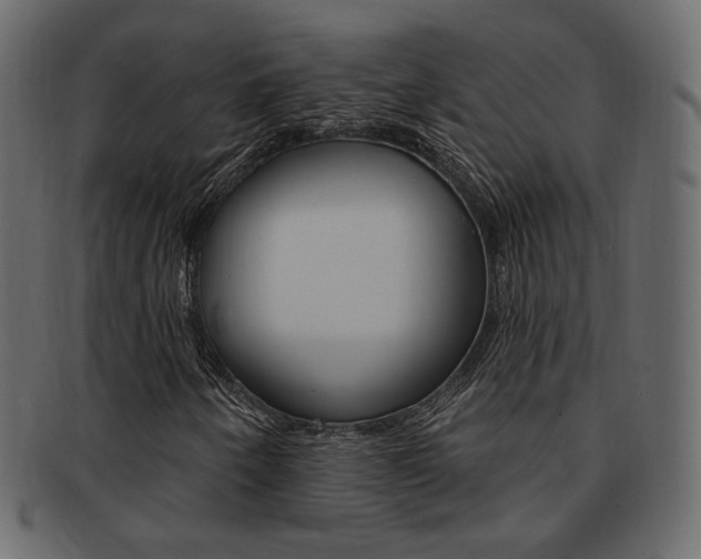 X0000093171250200709261049