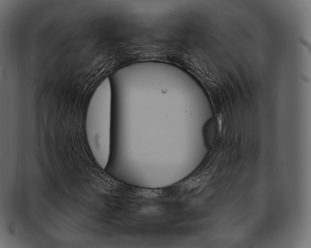 X0000093171251200709261049
