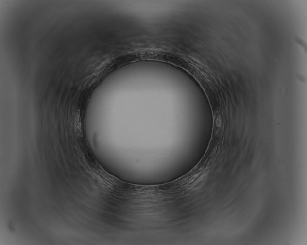 X0000093171252200709261049