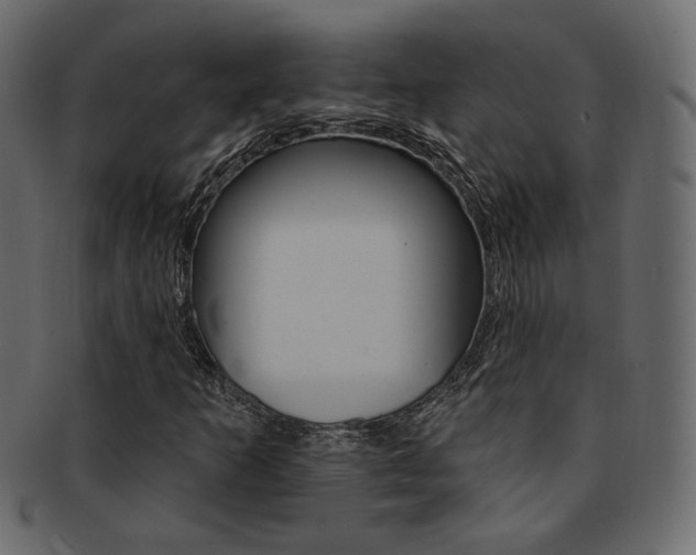 X0000093171253200709261049