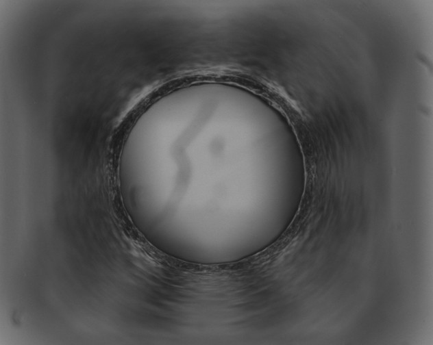 X0000093171256200709261049