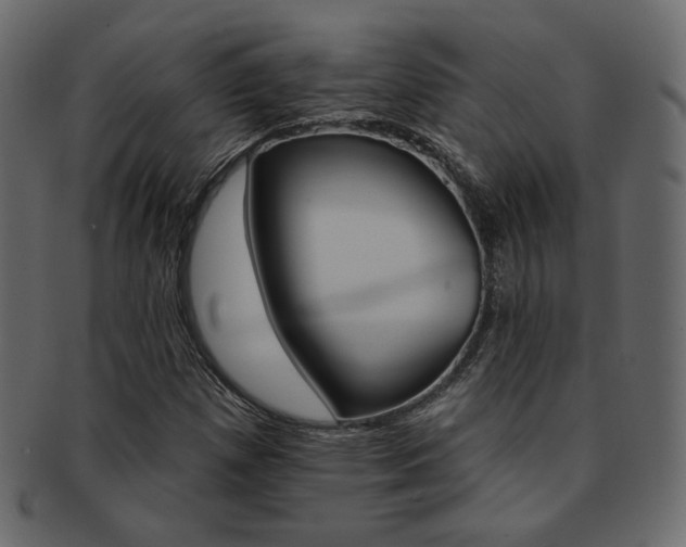 X0000093171257200709261049
