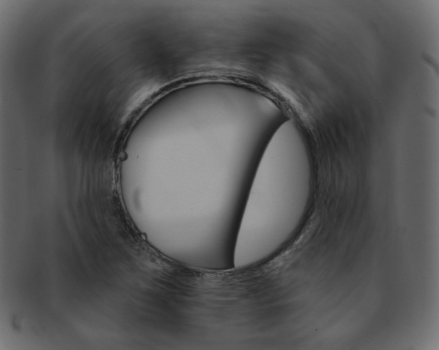 X0000093171267200709261048