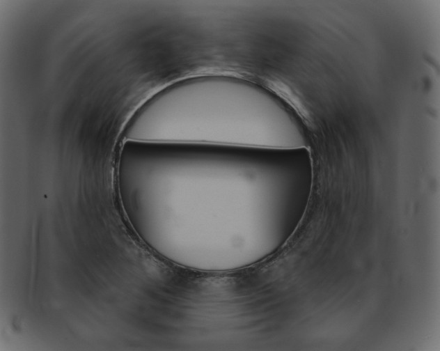 X0000093171268200709261048