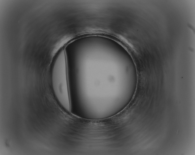 X0000093171269200709261048