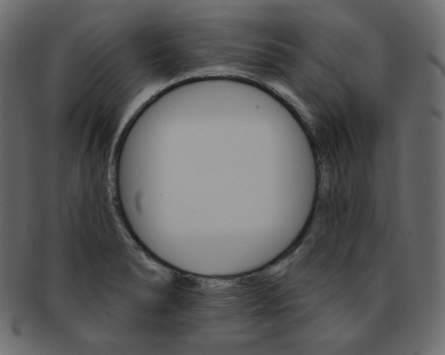 X0000093171278200709261048