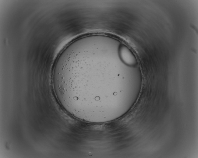 X0000093171279200709261048