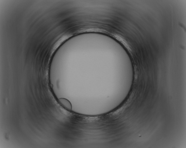 X0000093171282200709261048