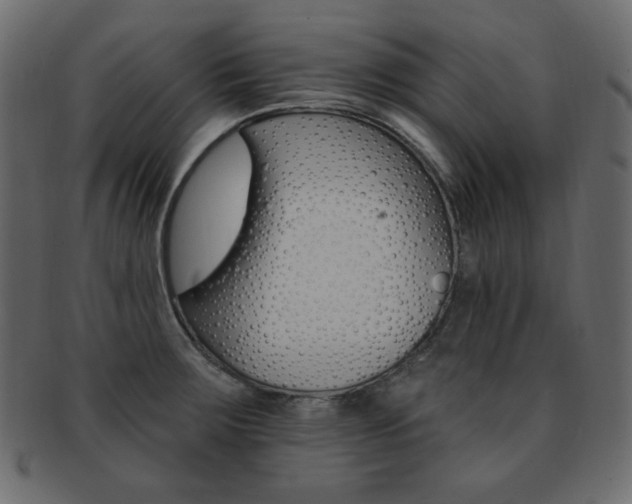 X0000093171283200709261048