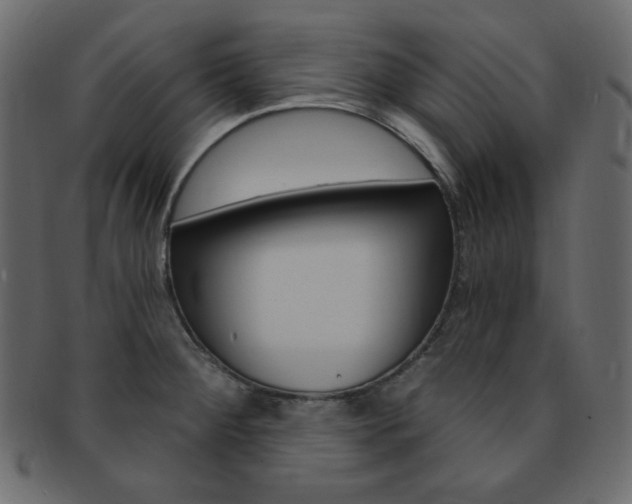 X0000093171284200709261048