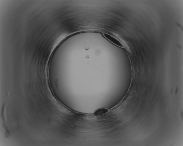 X0000093171291200709261048