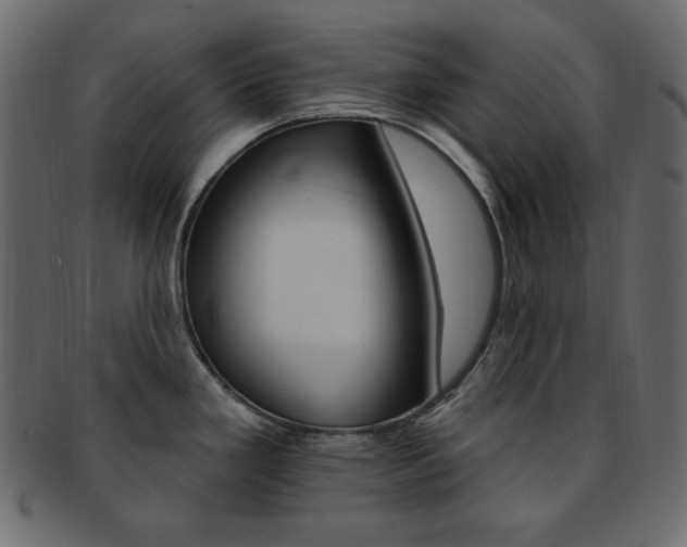 X0000093171293200709261048