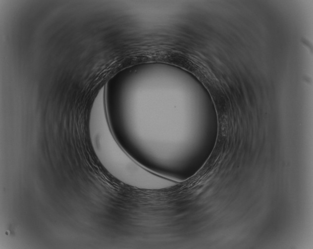 X0000093171298200709261048