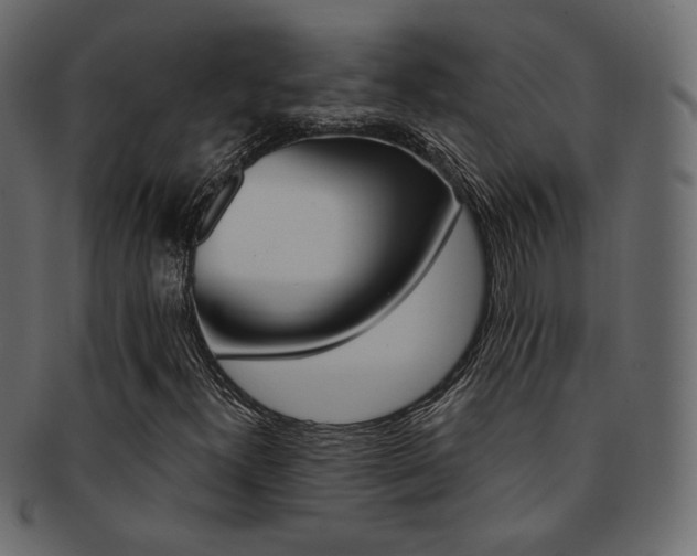 X0000093171300200709261048