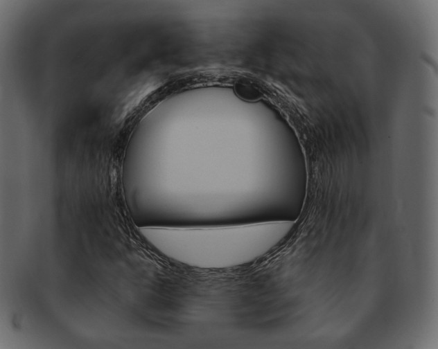 X0000093171302200709261048
