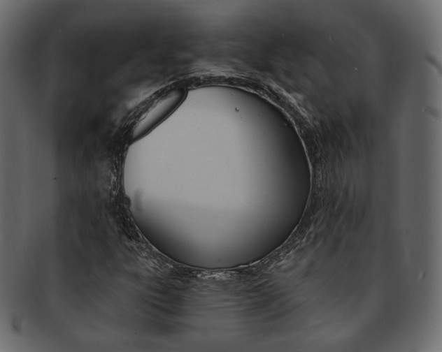 X0000093171303200709261048