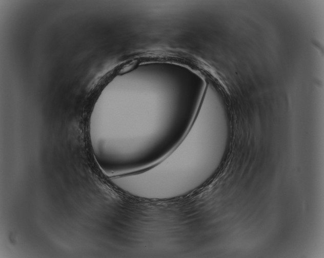 X0000093171304200709261048