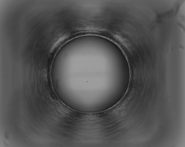 X0000093171307200709261048