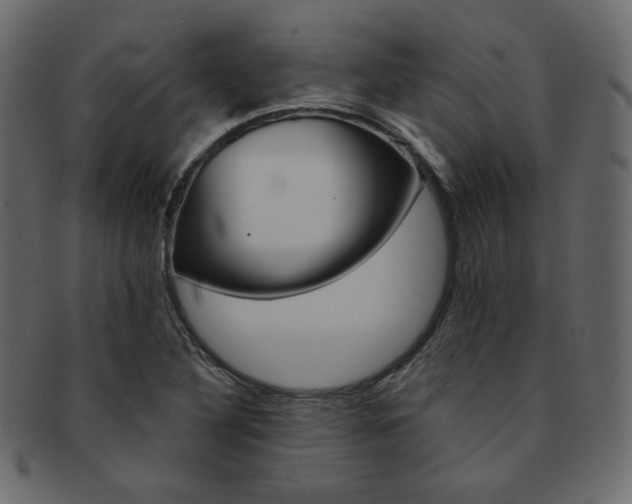 X0000093171316200709261048